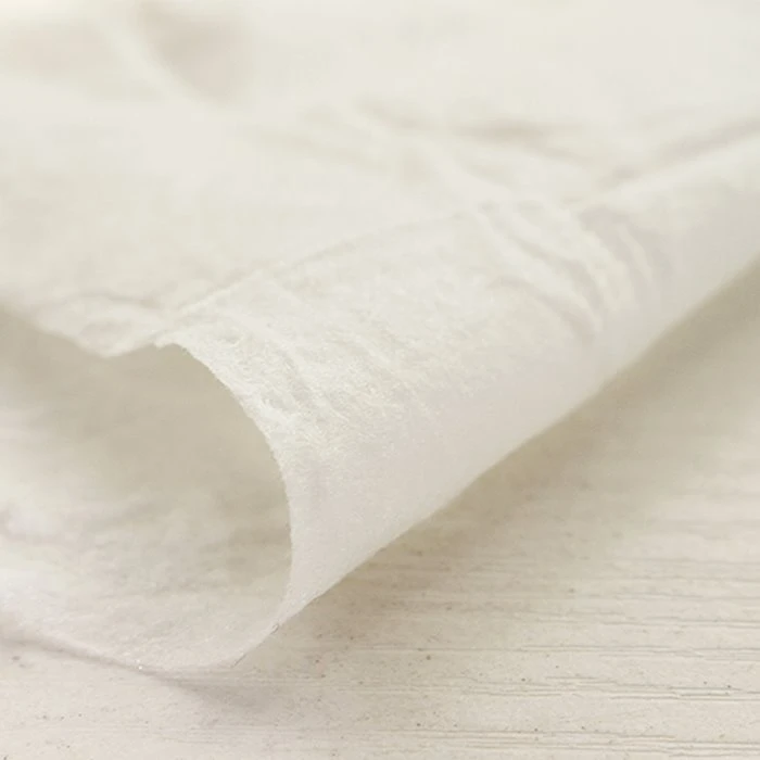 Biodegradable Dry Wipes